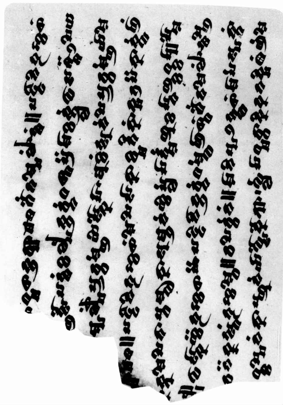 PLATES - 图57