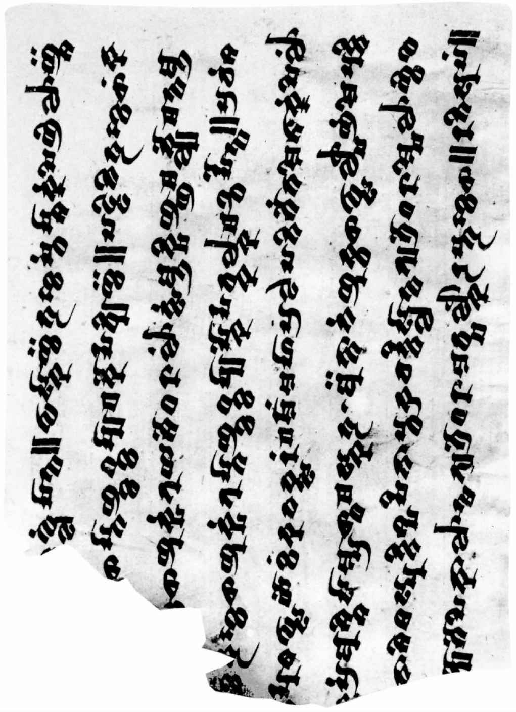 PLATES - 图59