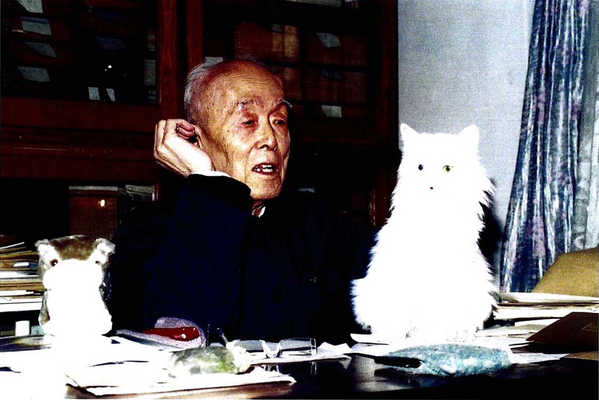 1995年，作者与爱猫在一起。 - 图1