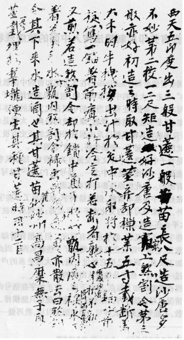 《糖史》附录 - 图1