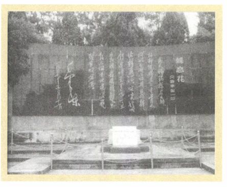 第十三章 怀疑（1956—1957） - 图13