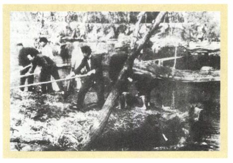 第八章 圣人（1936—1945） - 图10