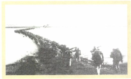 第十章 “我们熟习的东西有些快要闲起来了”［1］（1949—1950） - 图10