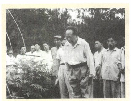 第十四章 修补体制（1958—1959） - 图10