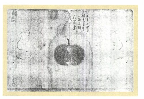 第二章 为何求知（1910—1918） - 图6