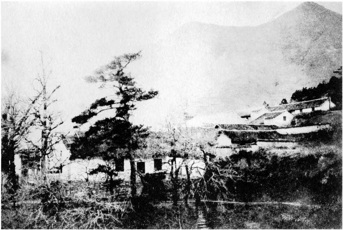 图五十四：会善寺净藏禅师身塔 - 图37