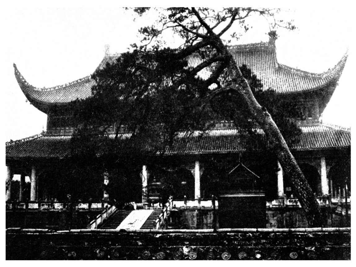 图五十四：会善寺净藏禅师身塔 - 图34