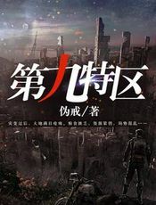 第九特区