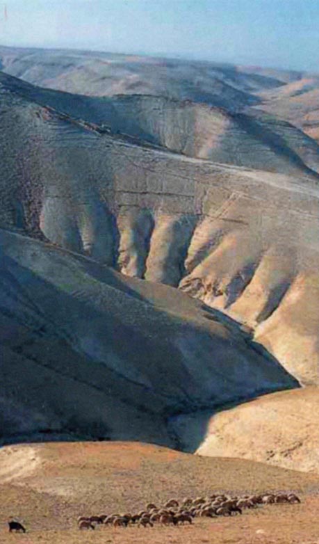《精神草地》现存最早的抄本，伊维龙修道院，阿索斯山。 - 图31