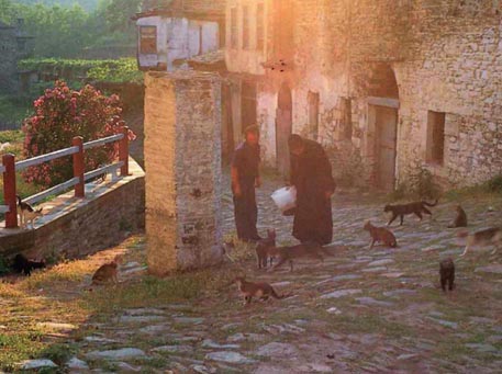 《精神草地》现存最早的抄本，伊维龙修道院，阿索斯山。 - 图27