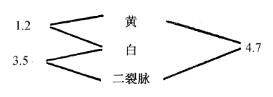 基因的直线排列 - 图2
