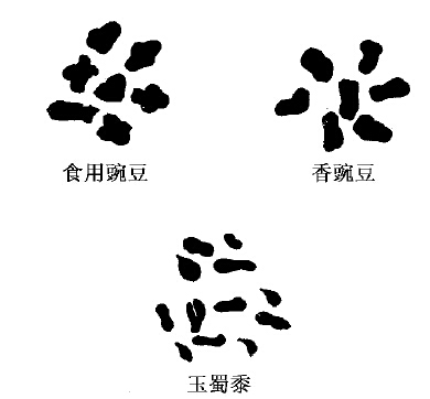 连锁群数目与基因对数 - 图1