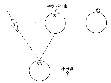 第4章　染色体与基因 - 图6