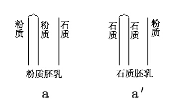 隐性性状与基因的缺失 - 图5