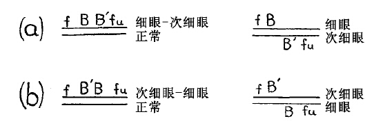回原突变（返祖性）在解释突变过程中的重要性 - 图4