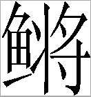 Y染色体 - 图1