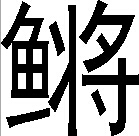 Y染色体 - 图3