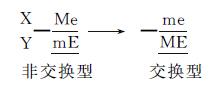 Y染色体 - 图9