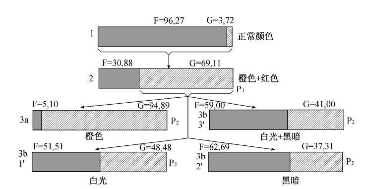 第18章　基因的稳定性 - 图5