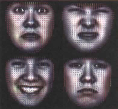 第9章
人类的特殊表情——回想、默想、恶劣情绪、愠怒、决心 - 图31
