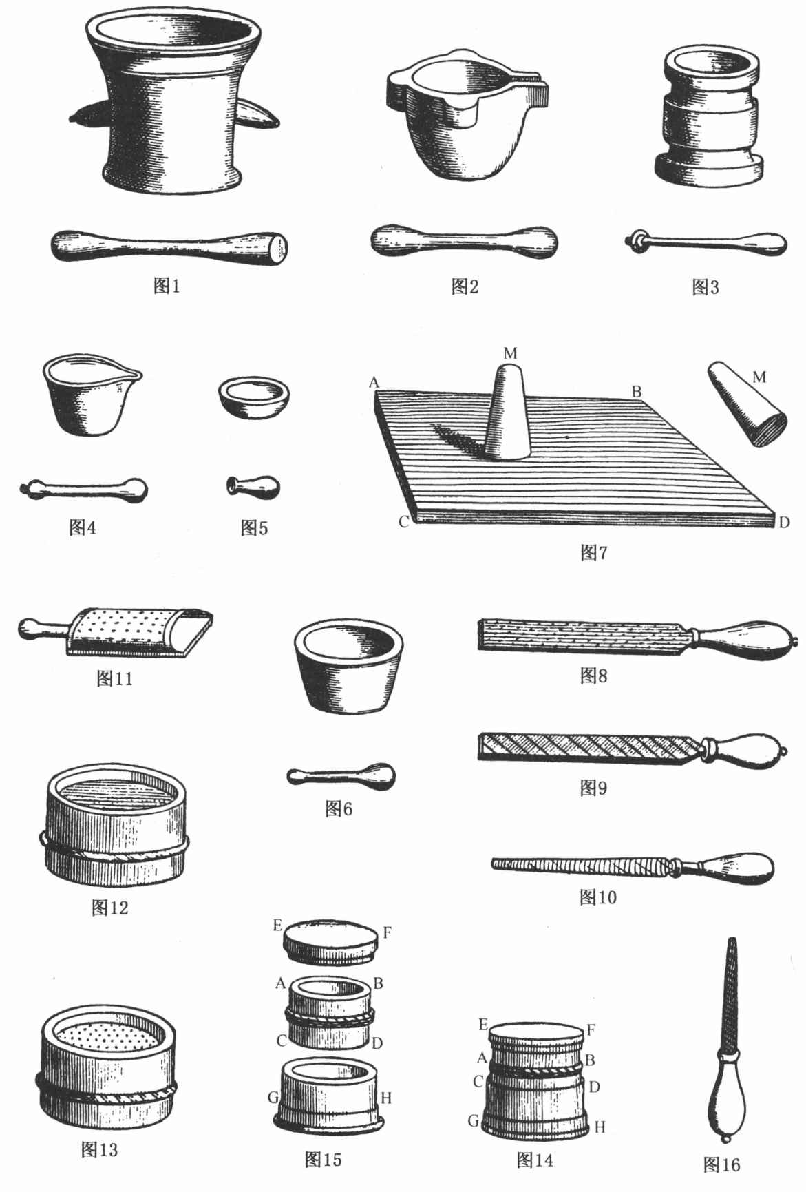 图版
Plates - 图2