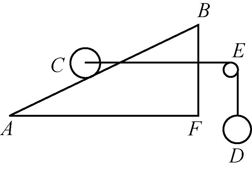 C13