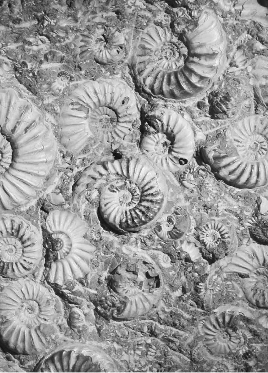 《海陆的起源》导读 - 图1