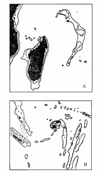 第三篇 解释和结论 - 图4