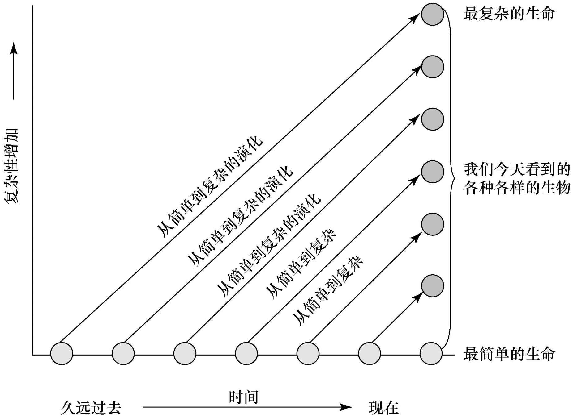 附录 进化论的十大猜想 - 图1