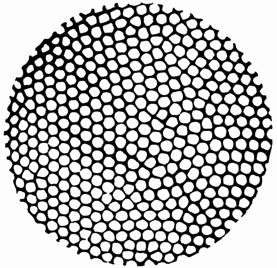 第4章　热力学 - 图33