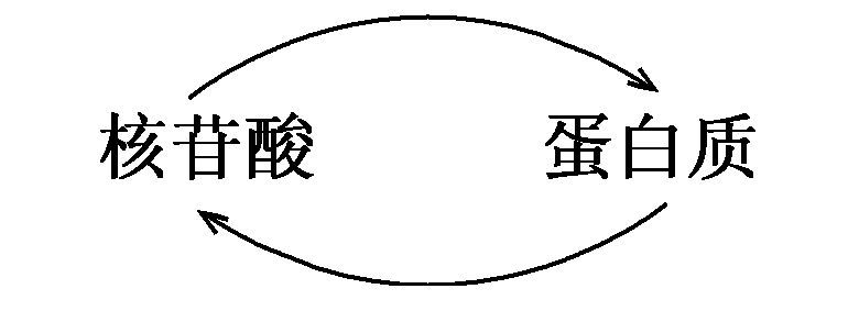 第5章　自组织 - 图10
