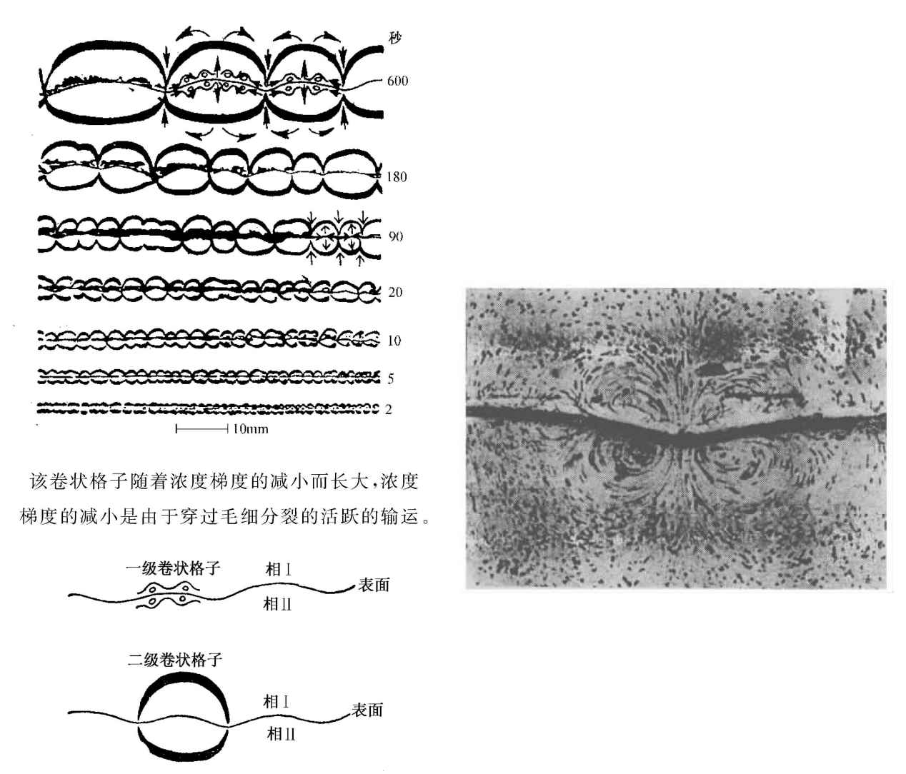 下篇
从存在到演化的桥梁
Part III　The Bridge from Being to Becoming - 图1