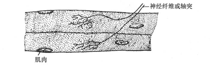 image086_1