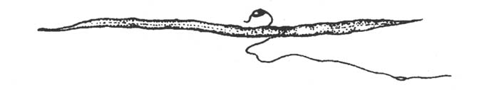 image086_2
