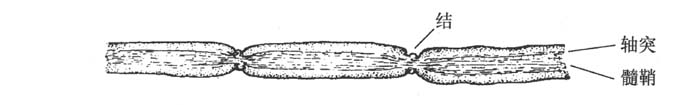 image088_1