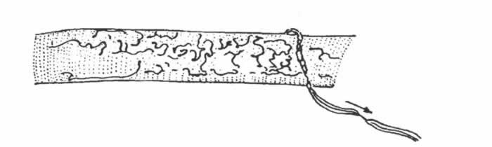 image090