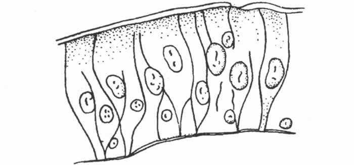 image101