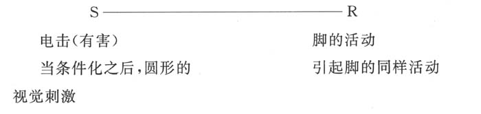 image217