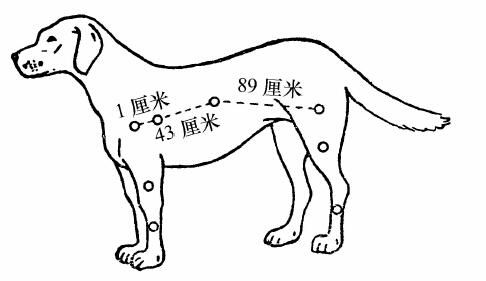 第十二讲 - 图2