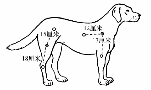 第十三讲 - 图1