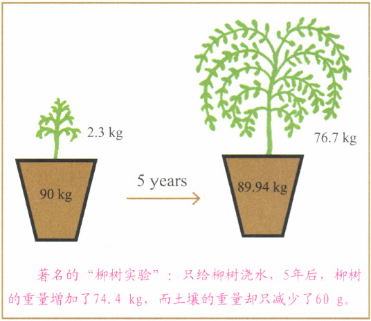 3.1 - 图19