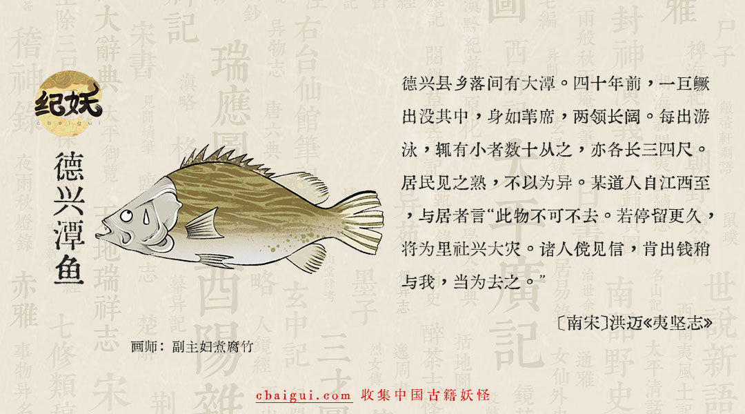 第十六谭 只有一天记忆的鱼 - 图1