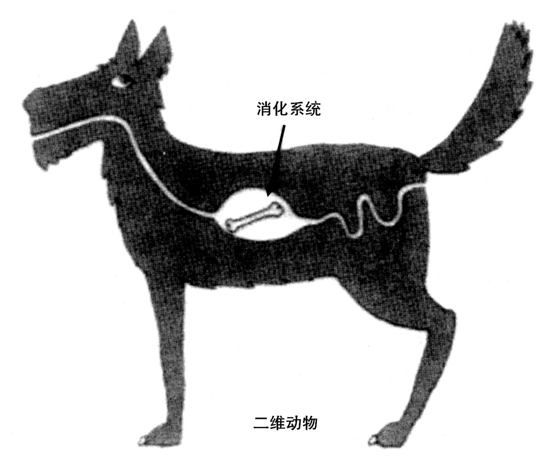 第11章 物理学的统一 - 图6