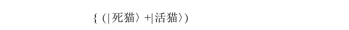 第4章 量子理论和时空 - 图12