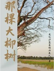 那棵大柳树