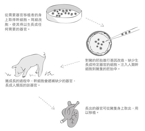 4決戰猩球Planet of the Apes - 图3