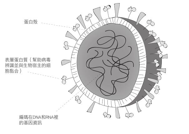 628天毀滅倒數28 Days Later - 图1