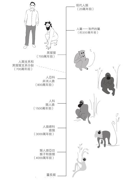 4決戰猩球Planet of the Apes - 图1