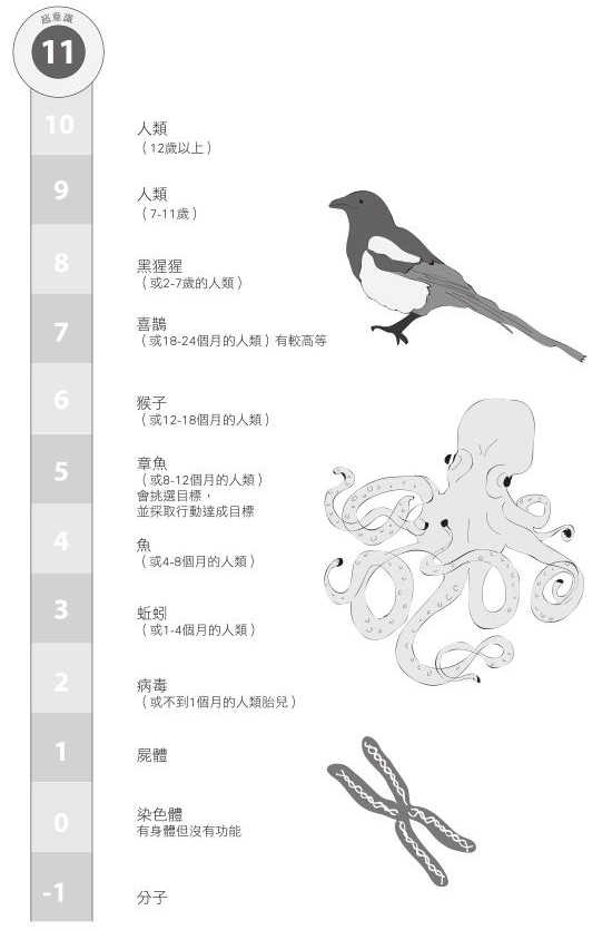 9人造意識Ex Machina - 图3