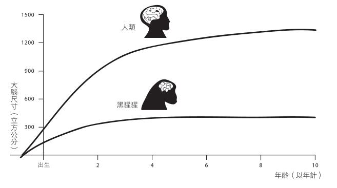 4決戰猩球Planet of the Apes - 图2
